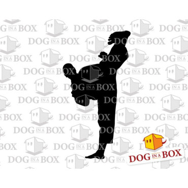 Karate stencil n.2 - Reusable stencil for martial arts wall decors, fabrics and wood signs.