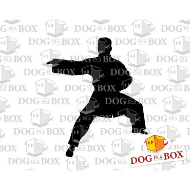 Tai Chi stencil n.1 - Reusable stencil for martial arts wall decors, fabrics and wood signs.
