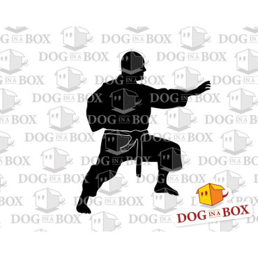 Kung Fu stencil n.1 - Reusable stencil for martial arts wall decors, fabrics and wood signs.
