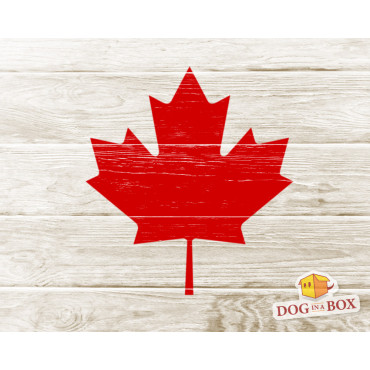 Canada flag stencil - Maple Leaf stencil for wall painting, wood sings, fabrics decor. Reusable and durable.