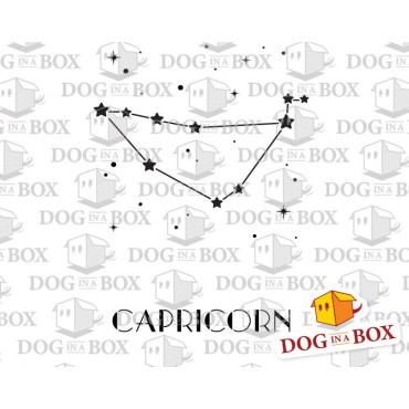 Capricorn constellation stencil - Stars stencil for wall decor and home interior design.