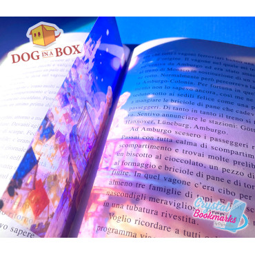 Segnalibro Rapunzel n.2 - Segnalibro trasparente fatto a mano | Effetto vetro, cristallo | segnalibro Disney