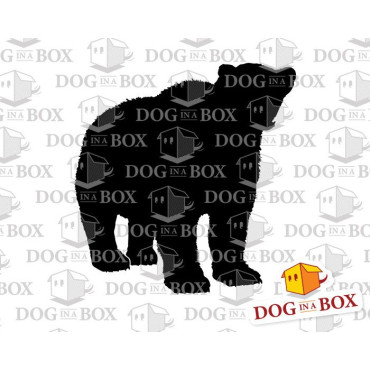 Bear stencil n.3 - Reusable wild bearstencil for wood signs, walls or fabrics.