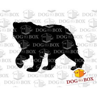 Bear stencil n.2 - Reusable grizzly stencil for painting on wood  walls or fabrics.