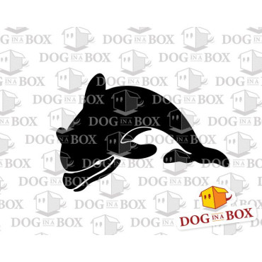 Dolphin stencil - Reusable sea animals stencil for wood signs, walls or fabrics.