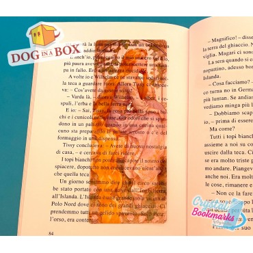 Marque-page Rapunzel n.3 - Marque-page transparent fait main | Effet vitrail, cristal | Marque-page Disney