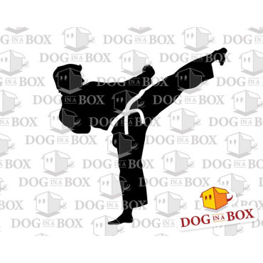 Karate stencil - Reusable stencil for martial arts wall decors, fabrics and wood signs.