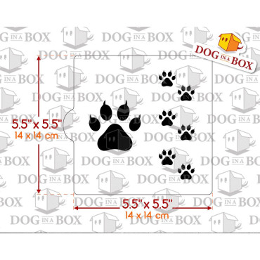 Cat Pawprints stencil n.2 - stencil for cookies - 14 x 14 cm