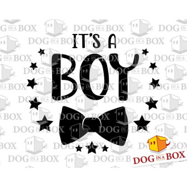 It's a boy cake stencil - Gender reveal cake stencil