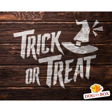 Trick or Treat stencil n.1 - Reusable stencil for halloween, horror house, wood signs, painting on wall and fabrics