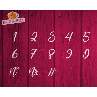 Numbers stencils n.13 - Calligraphic Individual numbers stencils for wood signs and walls