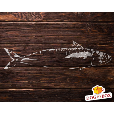 Fish stencil n.6 - Reusable fishing stencil for wood signs, wall decor and fabric