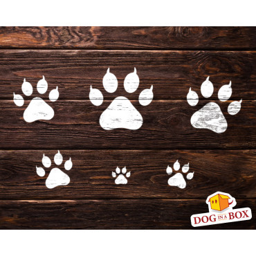 Pochoirs d'impressions de patte de chat - Ensemble de 6 tailles différentes. Pochoirs d'empreintes de pattes réutilisables