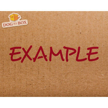 Stencil Alphabet font n.2 - Stencil maiuscolo per insegne e pareti in legno. Stampini per lettere singole