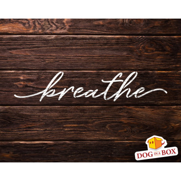 Stencil "breathe" - Stencil riutilizzabile per la decorazione domestica. Stencil motivazionale per la pittura murale