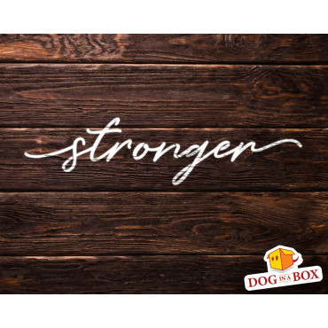 Stronger stencil - Reusable stencil for home decor. Motivational words stencil for wall painting
