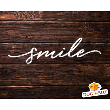 Stencil "smile" - Stencil riutilizzabile per la decorazione domestica. Stencil motivazionale per la pittura murale