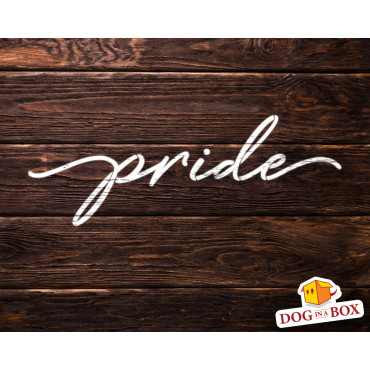 Stencil "pride" - Stencil riutilizzabile per la decorazione domestica. Stencil motivazionale per la pittura murale