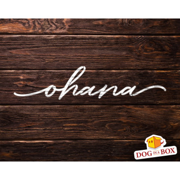 Stencil Ohana - Stencil riutilizzabile per la decorazione domestica. Stencil motivazionale per la pittura murale