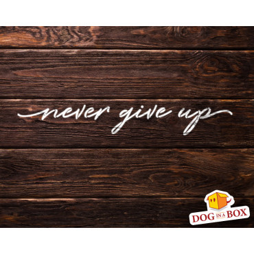 Never Give Up stencil - Reusable stencil for home decor. Motivational words stencil for wall painting