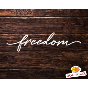 Stencil "freedom" - Stencil riutilizzabile per la decorazione domestica. Stencil motivazionale per la pittura murale