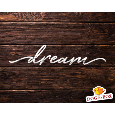 Dream stencil - Reusable stencil for home decor. Motivational words stencil for wall painting