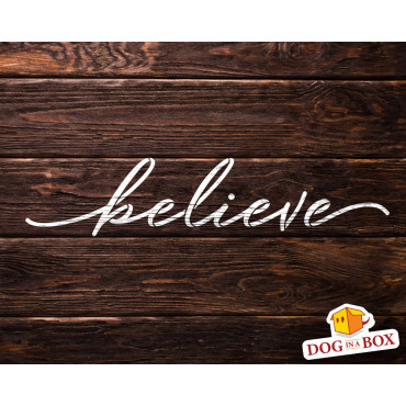 Stencil "Believe" - Stencil riutilizzabile per la decorazione domestica. Stencil motivazionale per la pittura murale