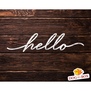 Hello stencil - Reusable stencil for home or shop decor. Welcome stencil for wall painting