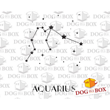 Aquarius constellation stencil - Stars stencil for wall decor and home interior design.