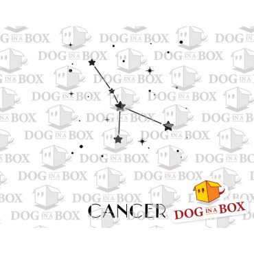 Cancer constellation stencil - Stars stencil for wall decor and home interior design.