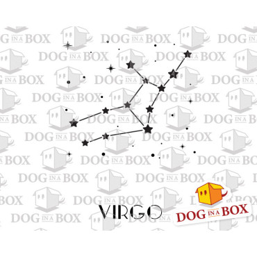 Virgo constellation stencil - Stars stencil for wall decor and home interior design.