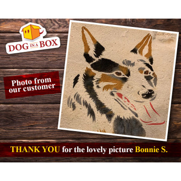 Pochoir pour chien n.16 - Pochoir réutilisable Blue Heeler pour panneaux en bois, décoration murale, tissu et pour magasin vétér