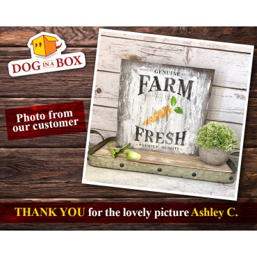 Stencil Farm Fresh Carots - Stencil agricolo riutilizzabile per insegne in legno, tessuti, borse, sacchi e pareti