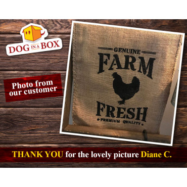 Farm Fresh Eggs Schablone, Farm Schablone, Huhn Schablone, Eier Schablone, Schablone zum Malen, A4, DIY Schablone, wiederverwend