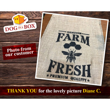 Farm Fresh Honey stencil - Reusable farm stencil for wood signs, fabrics, bags, sacks and walls