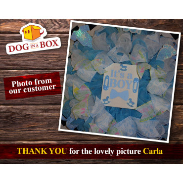 Stencil "It's a Boy" - Stencil riutilizzabile per gender reveal