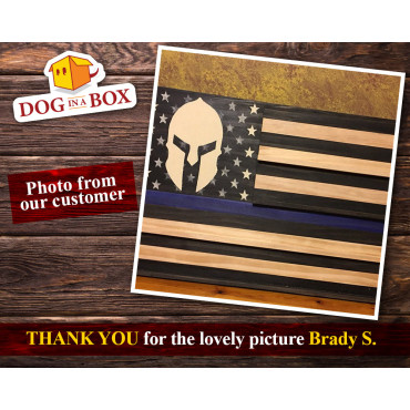 Stencil Elmo spartano n.2 - Stencil riutilizzabile di un elmo di guerriero di Sparta