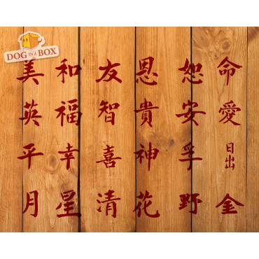 Pochoirs de symboles chinois - 24 cartes individuelles, pochoirs chinois