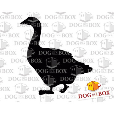 Goose stencil n.1 - Reusable farm animal stencil for wood signs, wall decor and fabric