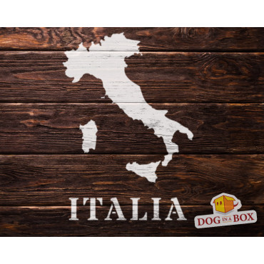 Italy stencil n.1 - Map of Italy reusable stencil