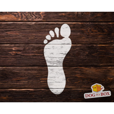 Barefoot footprint stencil n.2 - Reusable feet stencil for painting on the floor, walls