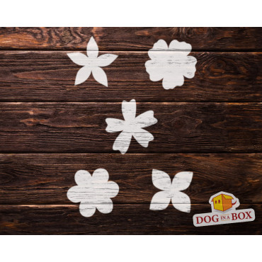 Flowers stencil set n.9 - Reusable stencil with many flowers in various size, perfect for painting