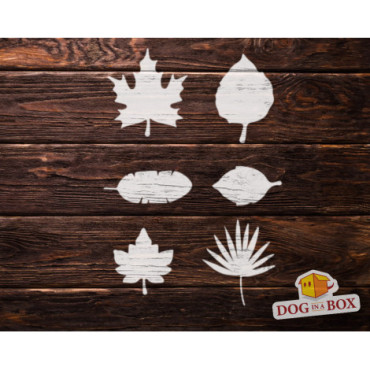 Leaves stencil set n.2 - Reusable stencil with many leaves in various size, perfect for painting