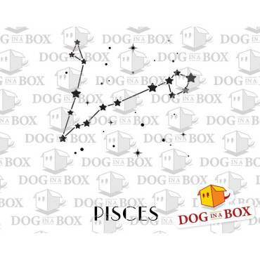Pisces Constellation stencil - Stars stencil for wall decor and home interior design.