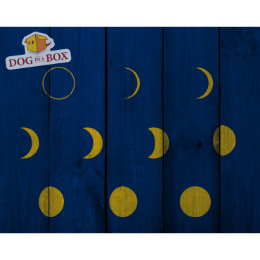 Moon phases stencils SET n.1 - Set of 10 reusable Moon stencils