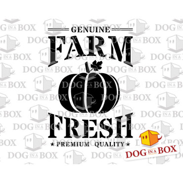 Farm Fresh Pumpkins stencil - Reusable farm stencil for wood signs, fabrics, bags, sacks and walls