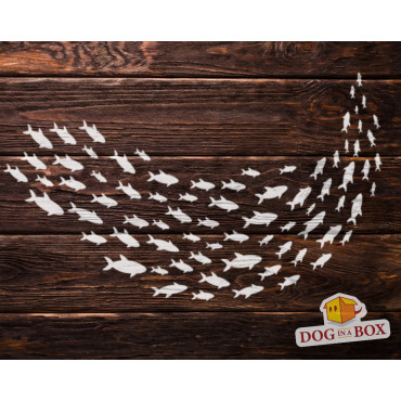 Fish stencil n.13 - Reusable fish swarm stencil for wood signs, wall decor and fabric