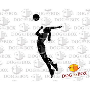 Volleyball stencil - Reusable stencil for volley wall decors, fabrics and wood signs.