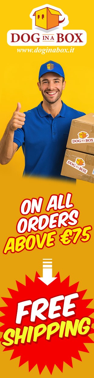 Free Shipping